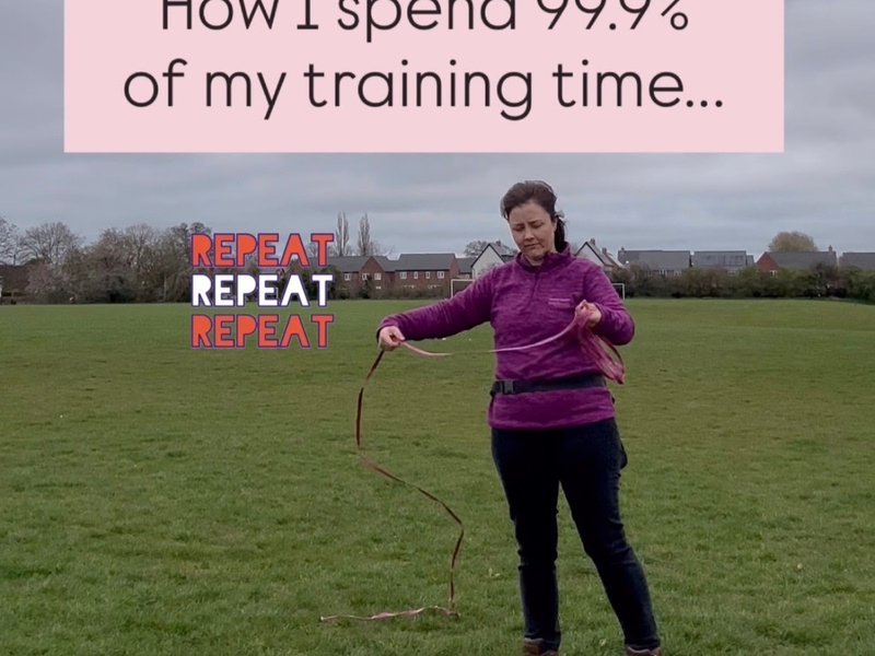 The Most Frustrating Dog Training Tool (And Why You Absolutely Need It)