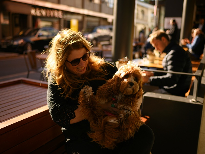 Dog Training in Rugby & Warwickshire: Creating Your Ideal Companion